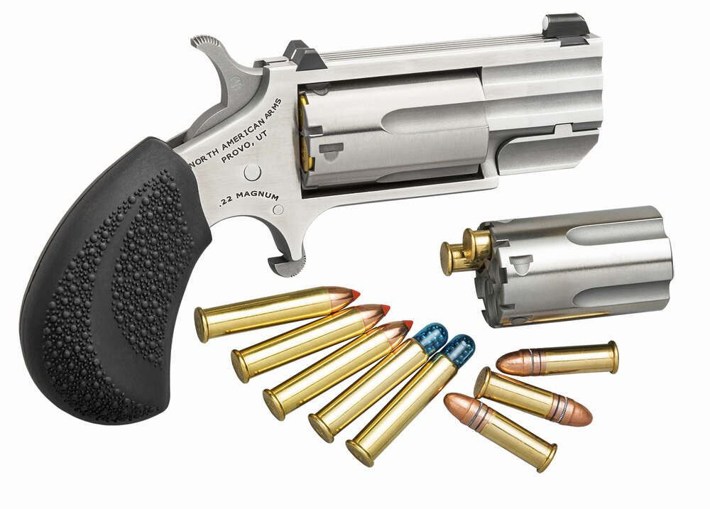 Handguns North American Arms 1" 22LR NAA PUGDC       PUG 22MAG/LR 1IN WHITE-DOT • Model: 1"